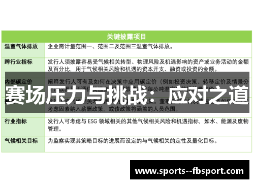 赛场压力与挑战：应对之道